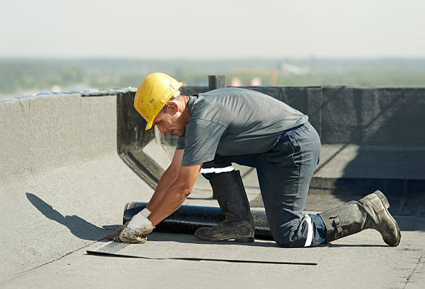 Best Attic Insulation Installation  in Tomahawk, WI